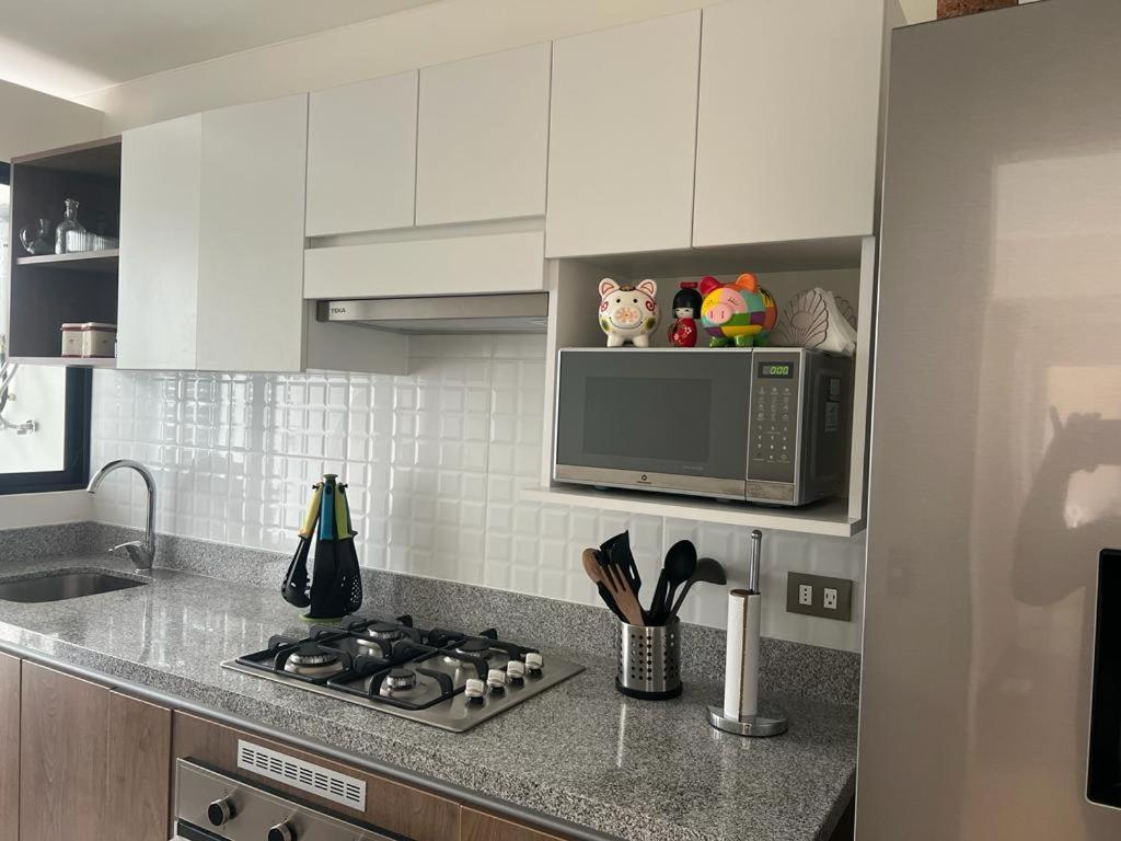 Deluxe Aparment San Isidro Apartment *